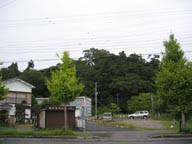 姉崎神社の森