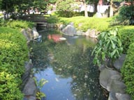 浅草寺境内の池1